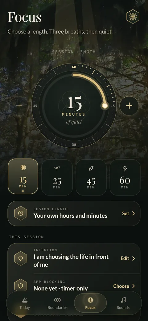 Deep Focus: choose 15, 25, 45, or 60 minutes, an intention, and app blocking.